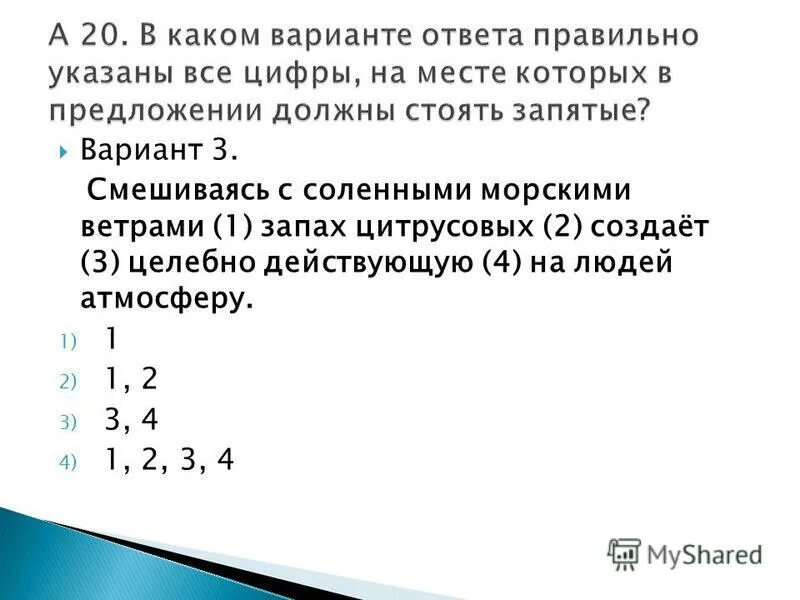 Девушка-море. Балтийское море калининград волны. Морская пена. Соленая солнечная энергия. Красота моря.