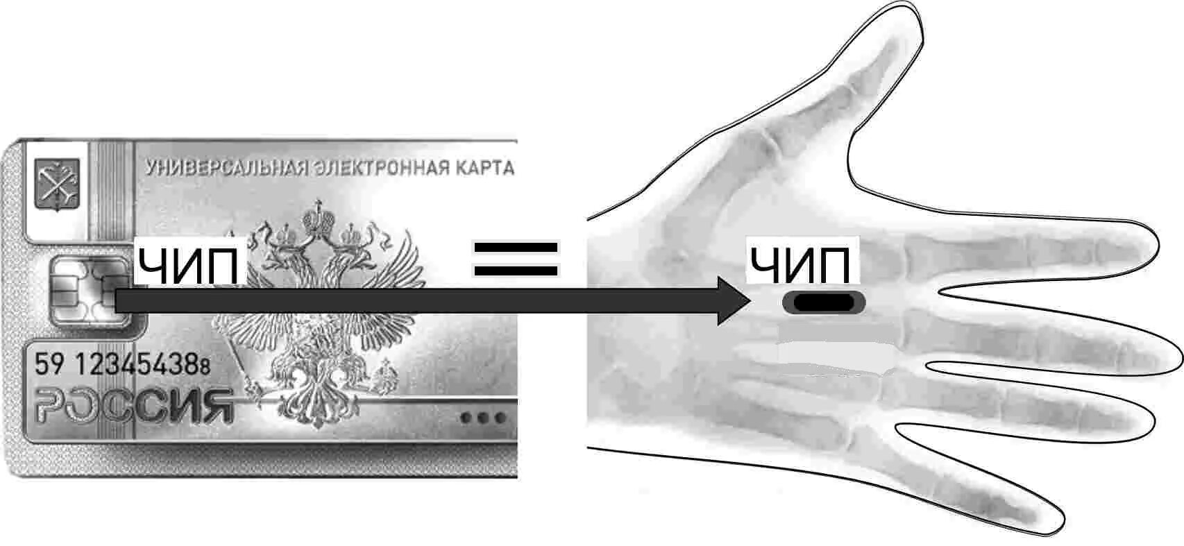 Как получить чипы в игре. Микрочипы для людей в России. Электронные вживляемые чипы.