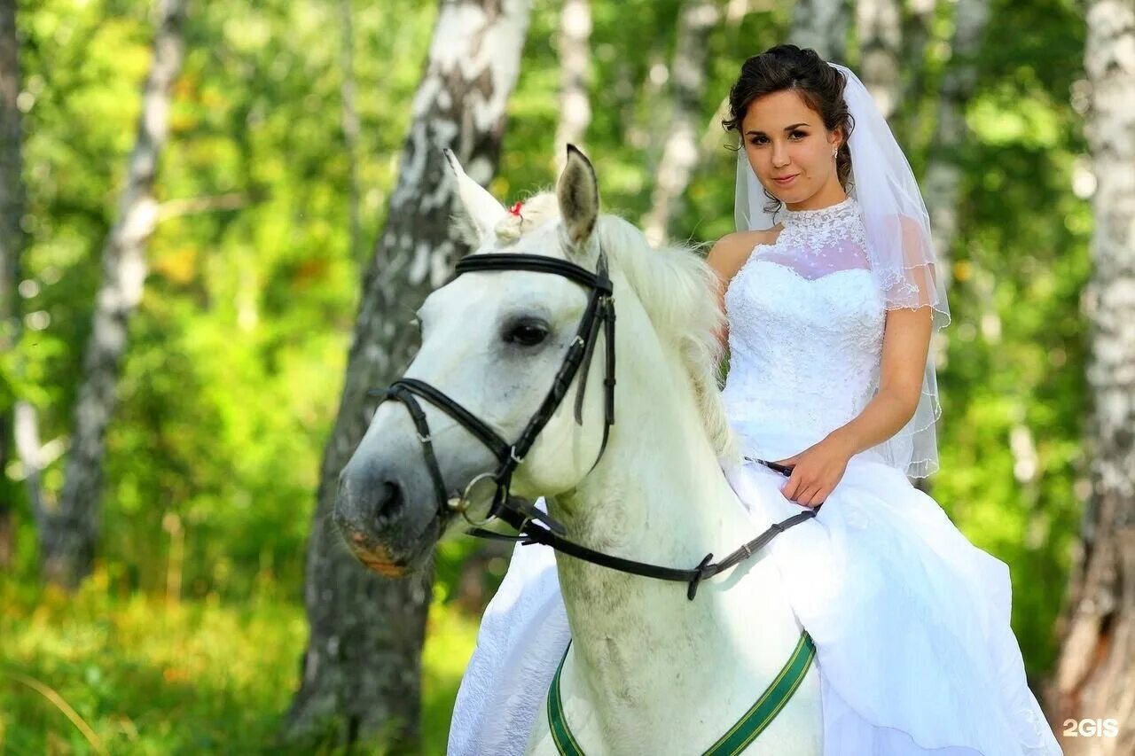 Невеста на лошади. Фотосессия с лошадьми. Свадебная фотосессия с лошадьми. Невеста верхом на лошади.