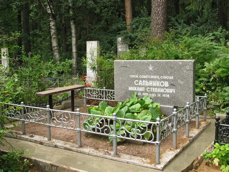 Северное кладбище санкт-петербург. Лиственный участок северного кладбища. Парголово северное кладбище. Церковь на северном кладбище санкт-петербург. Парголово северное кладбище.