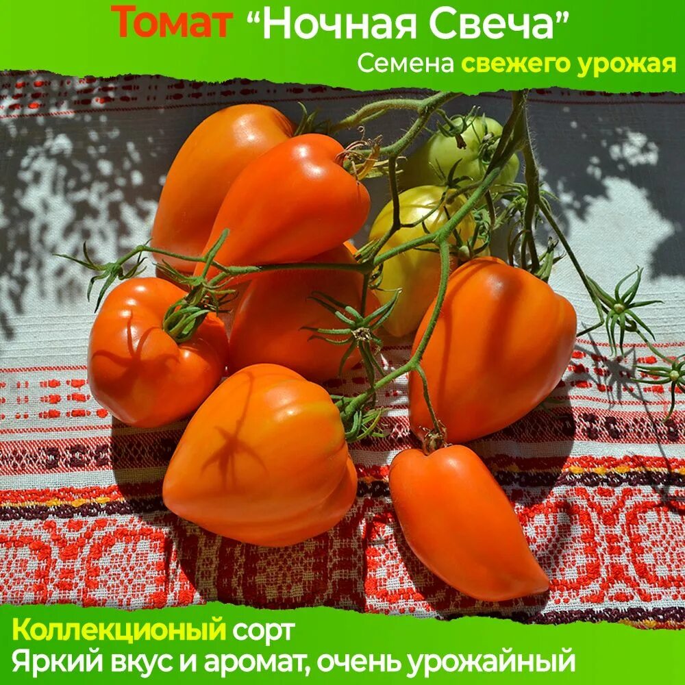 Перец оранжевый принц. Томат ночная свеча отзывы фото урожайность характеристика. Помидор сорт ночная свеча. Сорта томатов свечи. Томат ночная свеча характеристика и описание сорта.