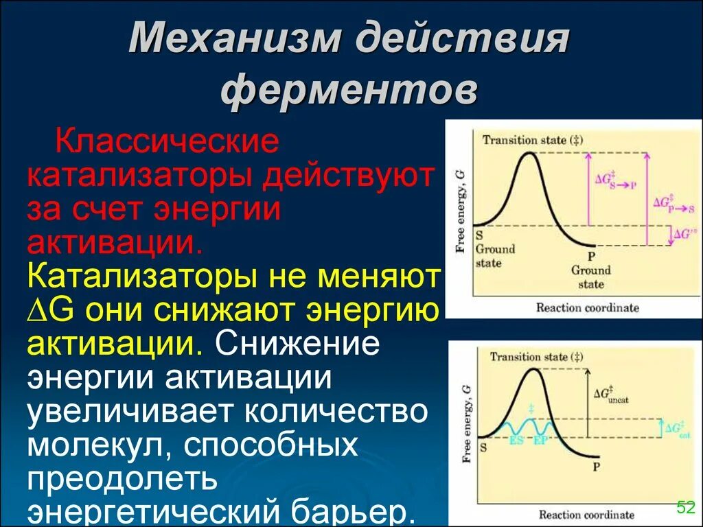 Общие принципы механизма действия ферментов. Механизм действия ферментов биохимия кратко. Механизм работы ферментов кратко. Механизм действия ферментов схема.