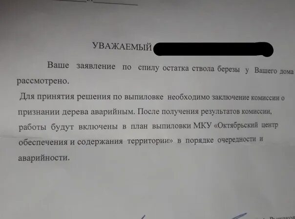 Заявка спил деревьев. Форма заявления о спиле деревьев. Заявление спилить дерево. Заявление на вырубку аварийного дерева. Заявление на спил дерева.