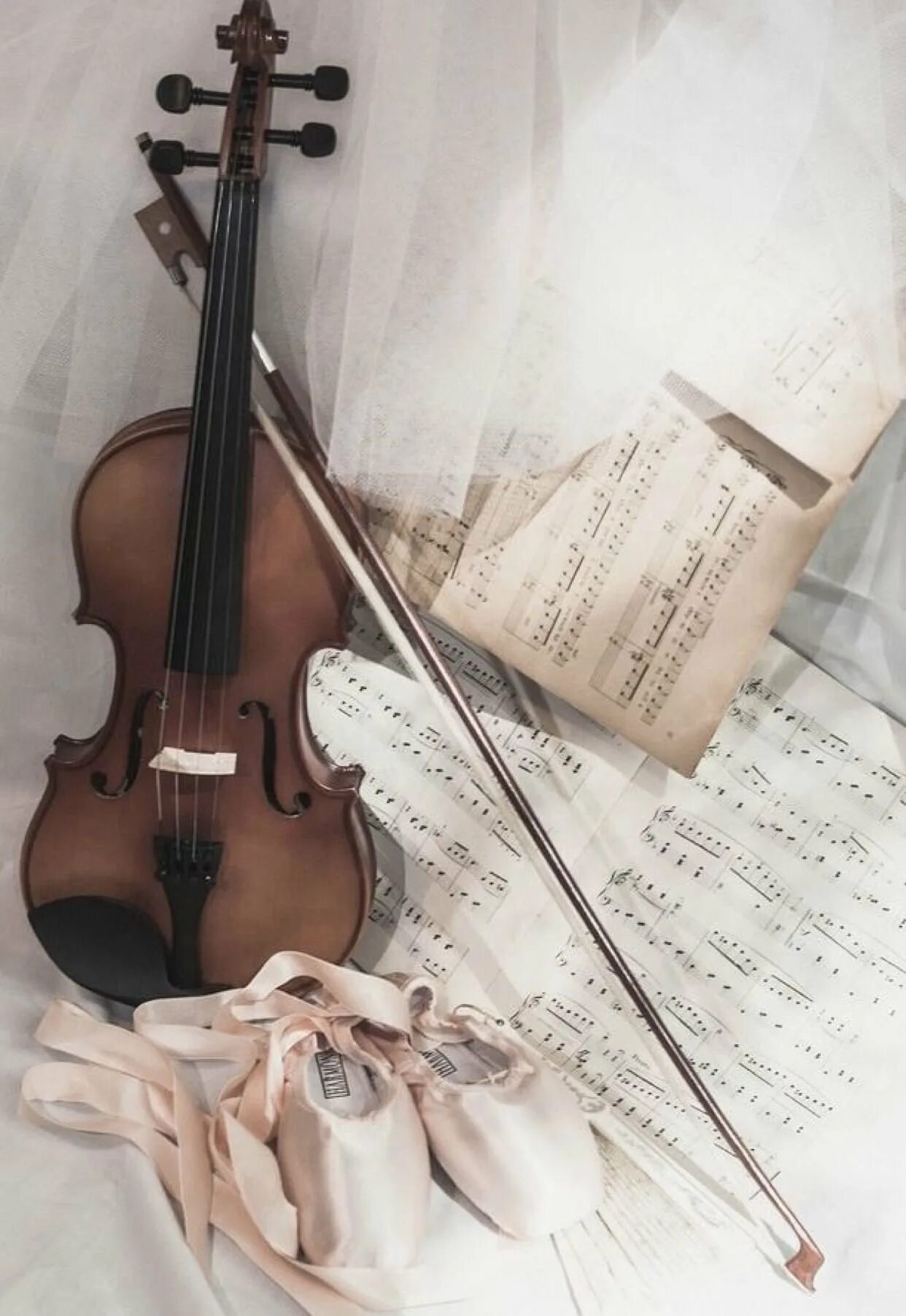 Violin скрипка. Музыкальное искусство. Скрипка. Классические музыкальные инструменты. Скрипка Эстетика.