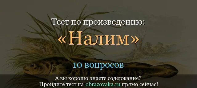 Книга чехов налим. Налим иллюстрация к рассказу Чехова. Рассказ а п. Чехова налим.