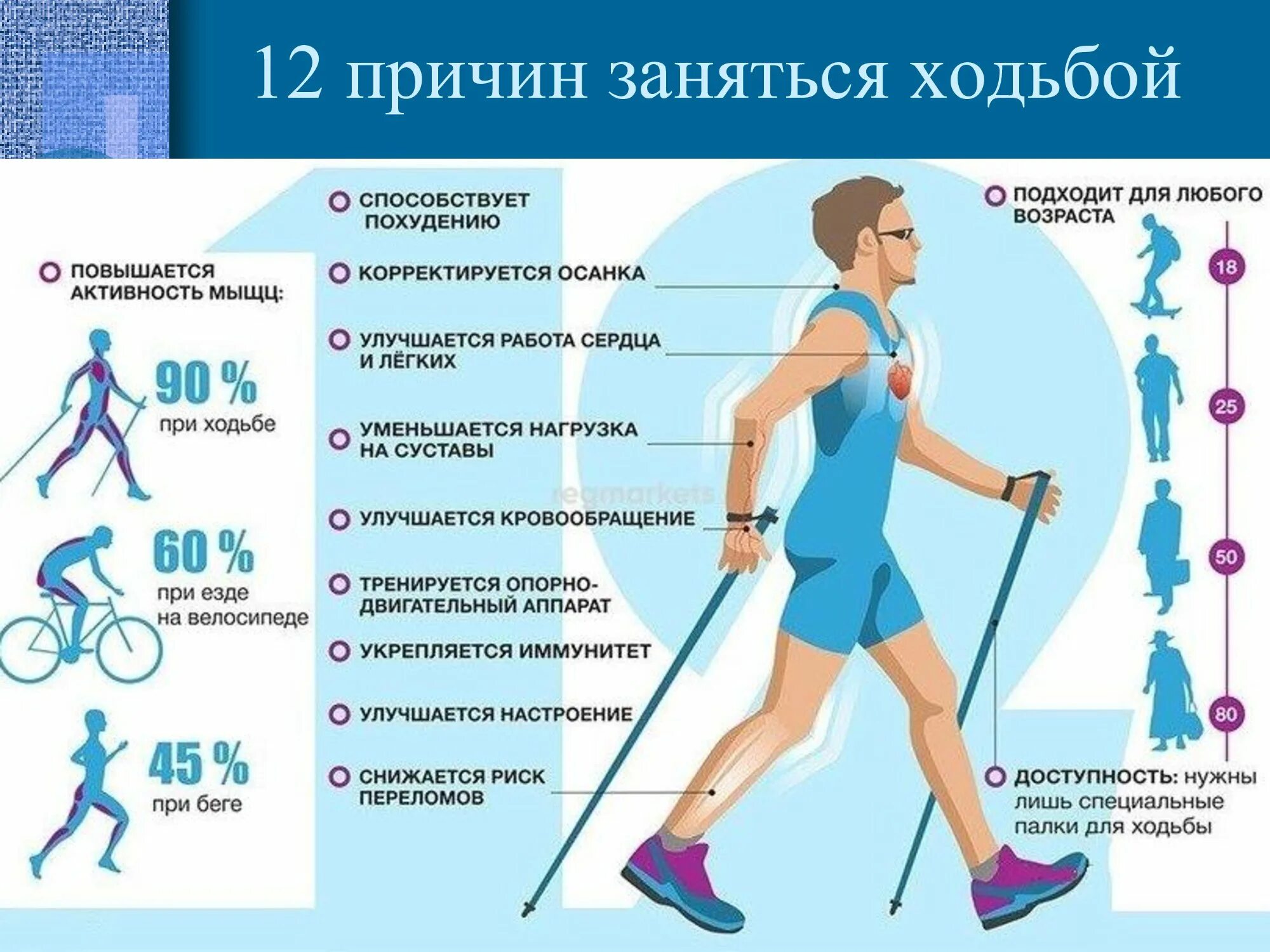 Сколько времени физической активности в неделю. Скандинавская ходьба с палками техника ходьбы. Скандинавская ходьба польза. Хождение с палками для скандинавской ходьбы. Скандинавская ходьба техника ходьбы для похудения.