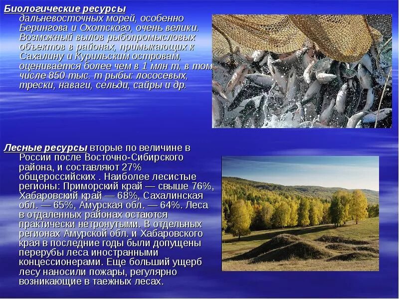 Природные условия дальнего востока россии. Природные ресурсы дальнего Востока дальнего Востока. Дальний Восток биологические ресурсы моря. Ресурсы дальнего Востока биологические ресурсы дальнего Востока. Биологические ресурсы Берингова моря.