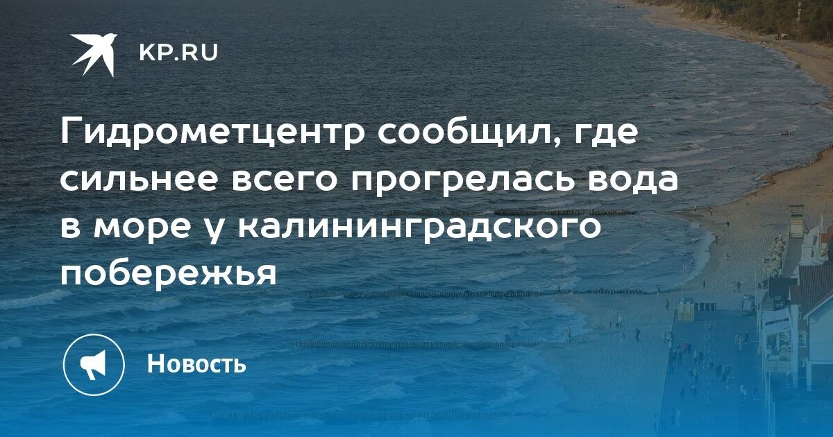 Сколько градусов в море в калининграде. Сколько градусов вода в зеленоградске.