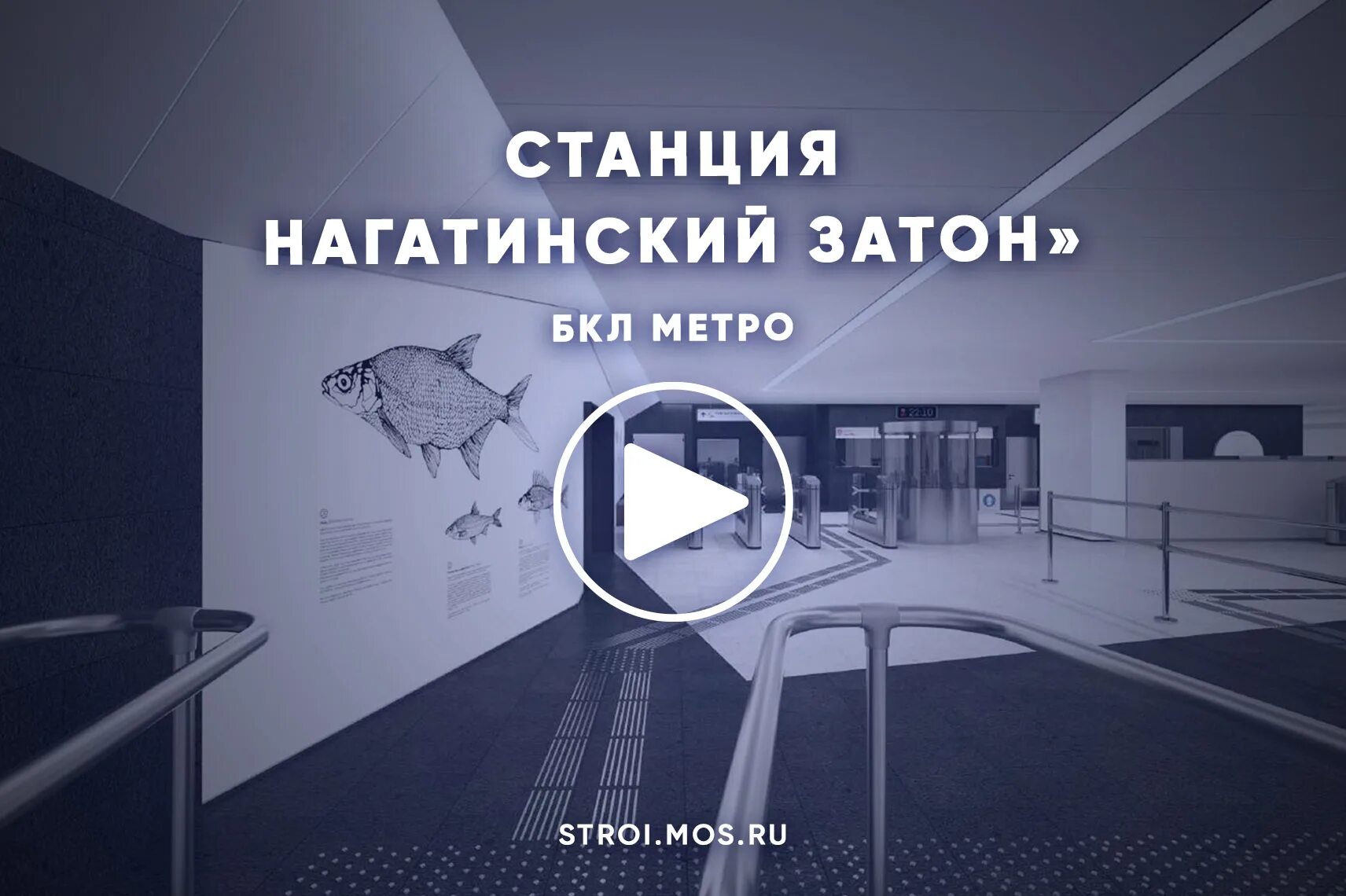 Нагатинский затон какое метро. Станция Нагатинский Затон БКЛ. Нагатинский Затон станция метро. Станция метро Нагатинский Затон БКЛ. План метро Нагатинский Затон.