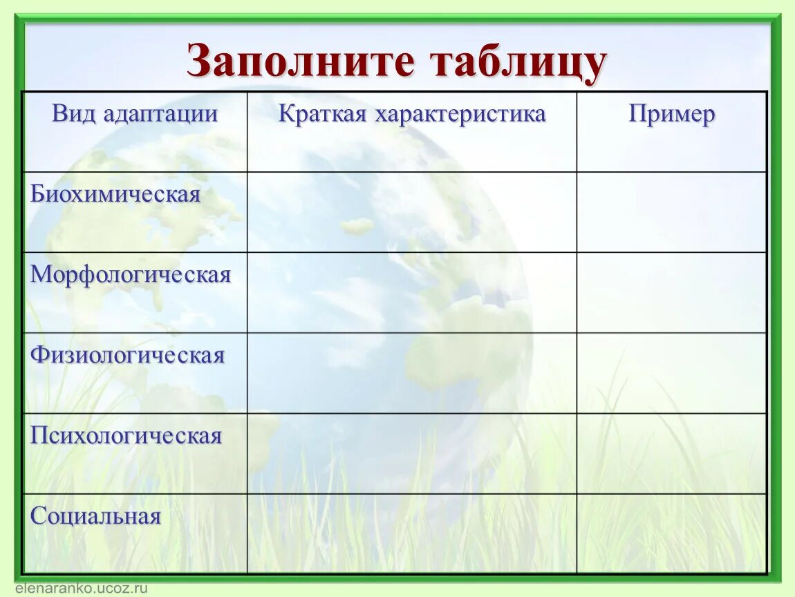 Адаптация характеристика и примеры. Формы адаптации таблица. Типы адаптаций таблица. Таблица по биологии адаптации. Формы и виды адаптации.