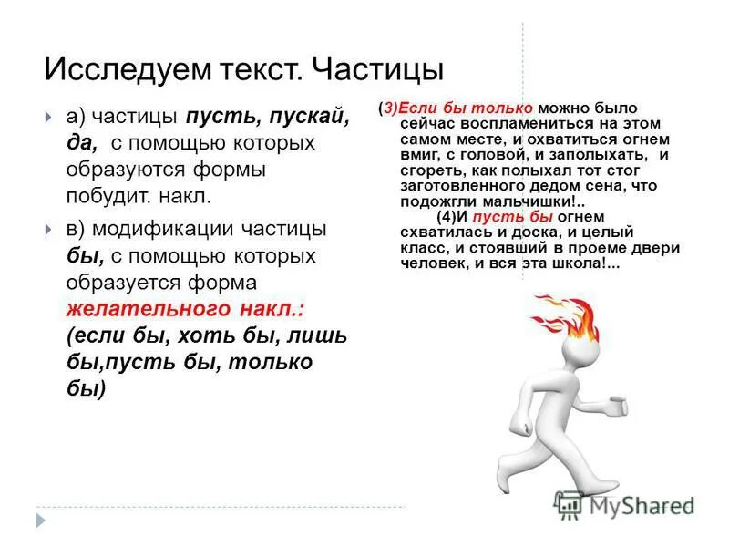 чтение учебник текст. составить сложный план о частице как части. прочитайте текст разделите его на смысловые части. зимний лес прочитай текст какие из слов синонимов помещенных. прочитай текст частицы.