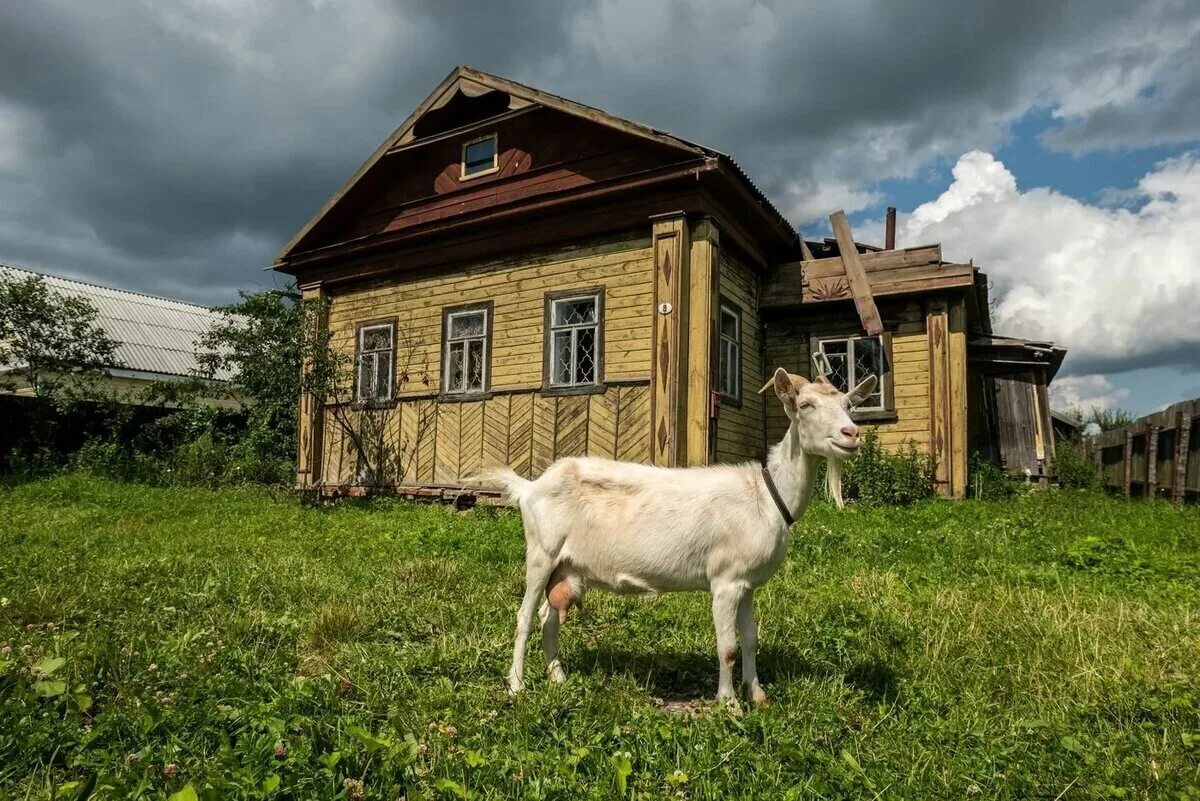 Русская живи село. Деревня. Домик в деревне. Деревенский домик.