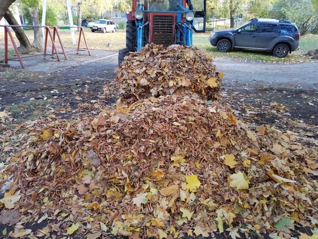 Вывезти листву. Вывезти листву