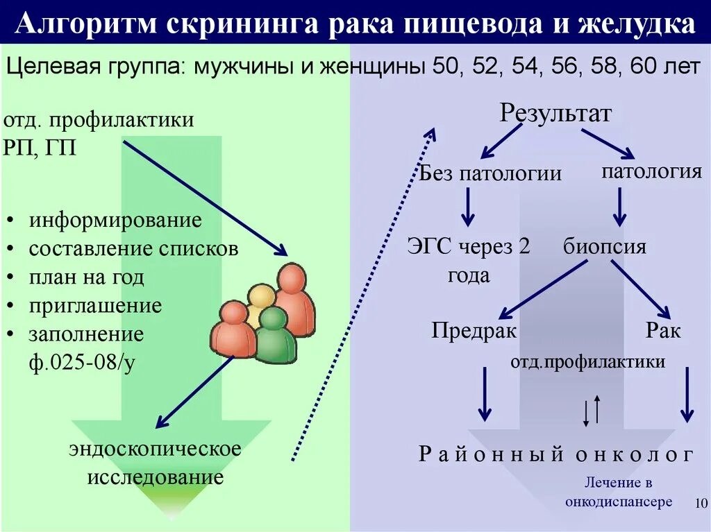 Профилактика пищевода. Скрининг алгоритм. Скрининг онкологических заболеваний алгоритм. Алгоритм диагностики. Скрининг ЖКТ.