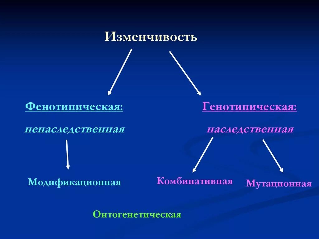 Онтогенетическая изменчивость наследственная и ненаследственная. Модификационная комбинативная и наследственная изменчивости. Форма изменчивости мутационная и модификационная. Модификационная изменчивость и наследственная изменчивость.