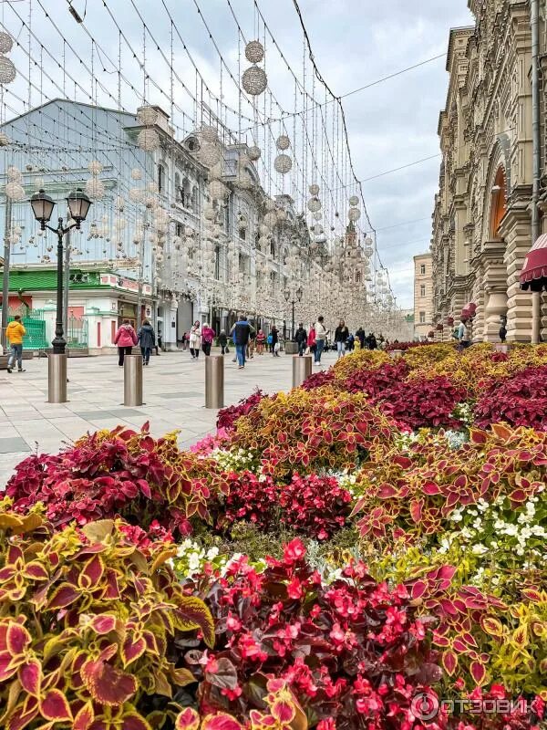 Цветы пл. Цветочный джем 2022 Москва. Цветочный джем 2022 Арбат. Столешников переулок цветочный джем. Тверской бульвар цветочный джем.