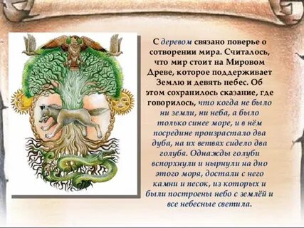 Слова связанные с деревом