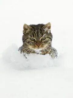 Даешь апрель