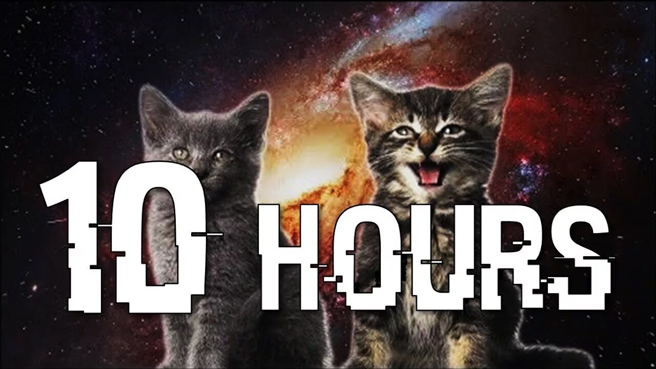Коты 10 часов. Кошачья дискотека. Кот на дискотеке. Дискотека кошек 10 часов. Space Cats Magic Fly by Enjoyker.