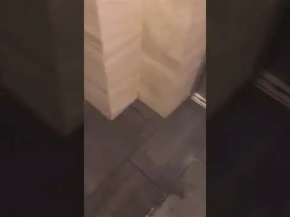 Шахта туалета