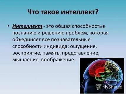 Интеллект и обучение презентация