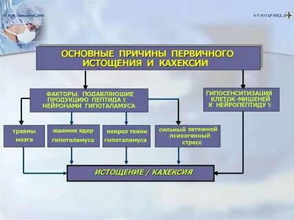 Нарушения липидного обмена клинические рекомендации 2023