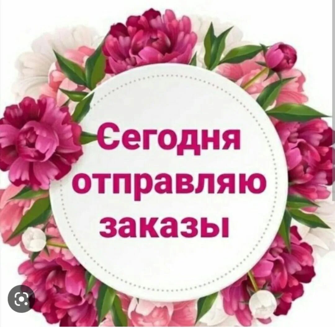 Оплату не забудьте. Сегодня отправляю заказ. Сегодня Отправка заказа. Заказ отправлен. Оформить заказ.