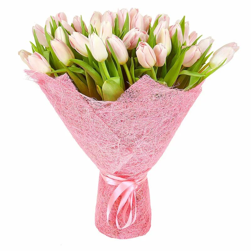 Упаковка тюльпанов фото. Букет 25 розовых тюльпанов Трезор. Букет из розовых тюльпанов. Готовые букеты из тюльпанов. Розовые тюльпаны.