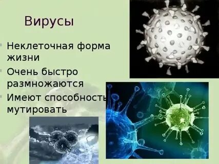 Что относится к неклеточным