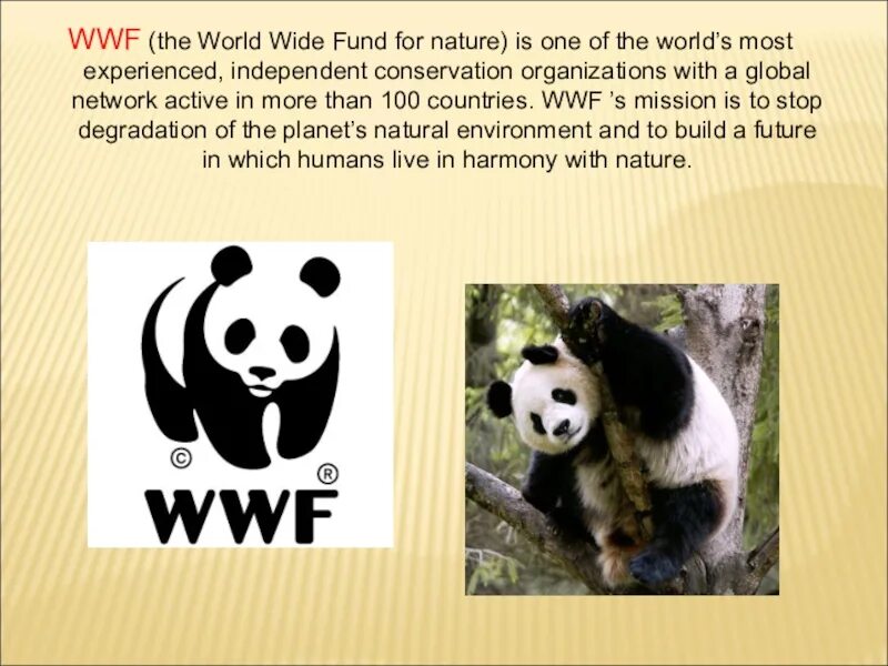 The world wildlife fund is an organization. ВВФ Всемирный фонд дикой природы. Всемирный фонд дикой природы эмблема. WWF - Всемирный фонд дикой природы задачи. Всемирный фонд дикой природы доклад.