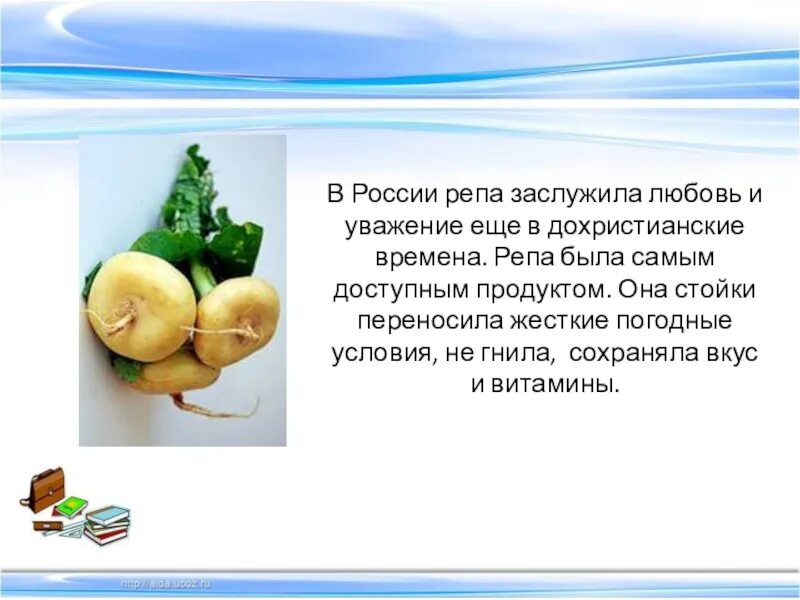 Чем полезна репа для организма. Репа. Презентация на тему репа. Витамины репы. Полезная репа.