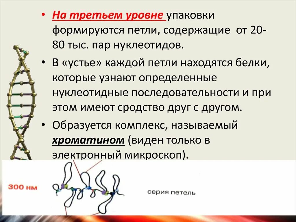 Нуклеотидные повторы это. Болезни экспансии нуклеотидных повторов. Повторы днк. Нуклеотид это простыми словами. Заболевания с нетрадиционным типом наследования.