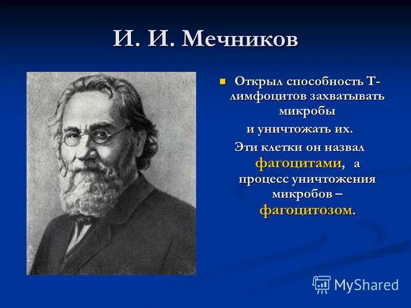 Что открыл мечников в биологии