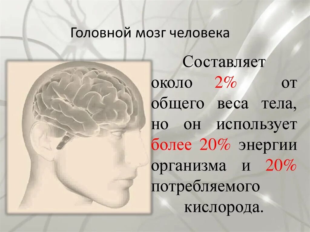 Вес головного мозга человека. Колько весит мохг человека. Вес мозга взрослого человека составляет. Сколько весит мозг человека.