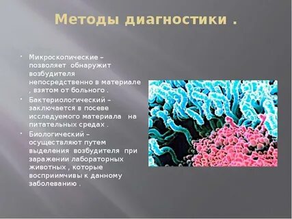 Возбудители форум
