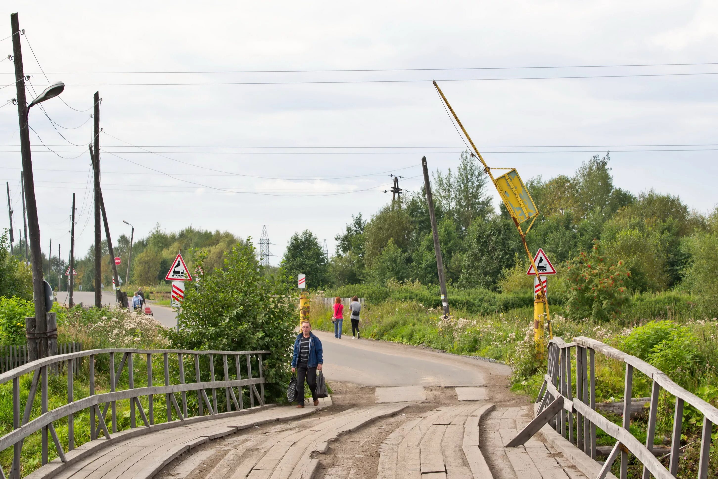 Соты архангельск