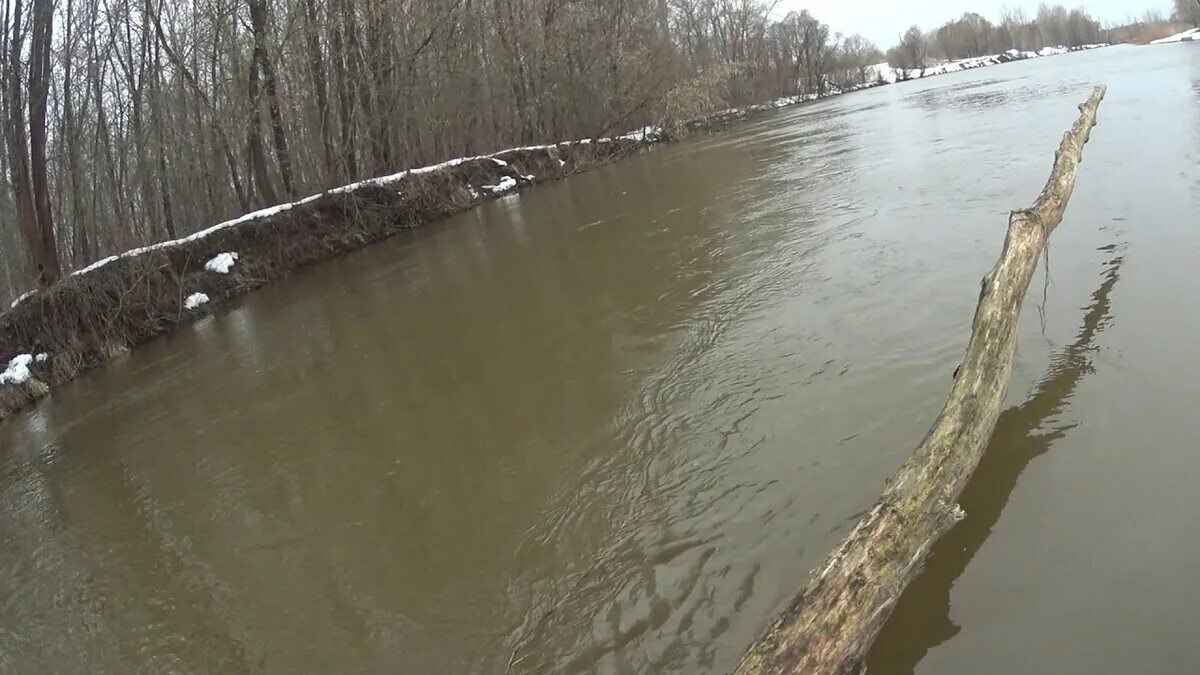 Рыбалка в мутной воде. Ловим рыбу в мутной реке. Ловля щуки в мутной воде на пруду. Рыбалка в мутной воде весной.