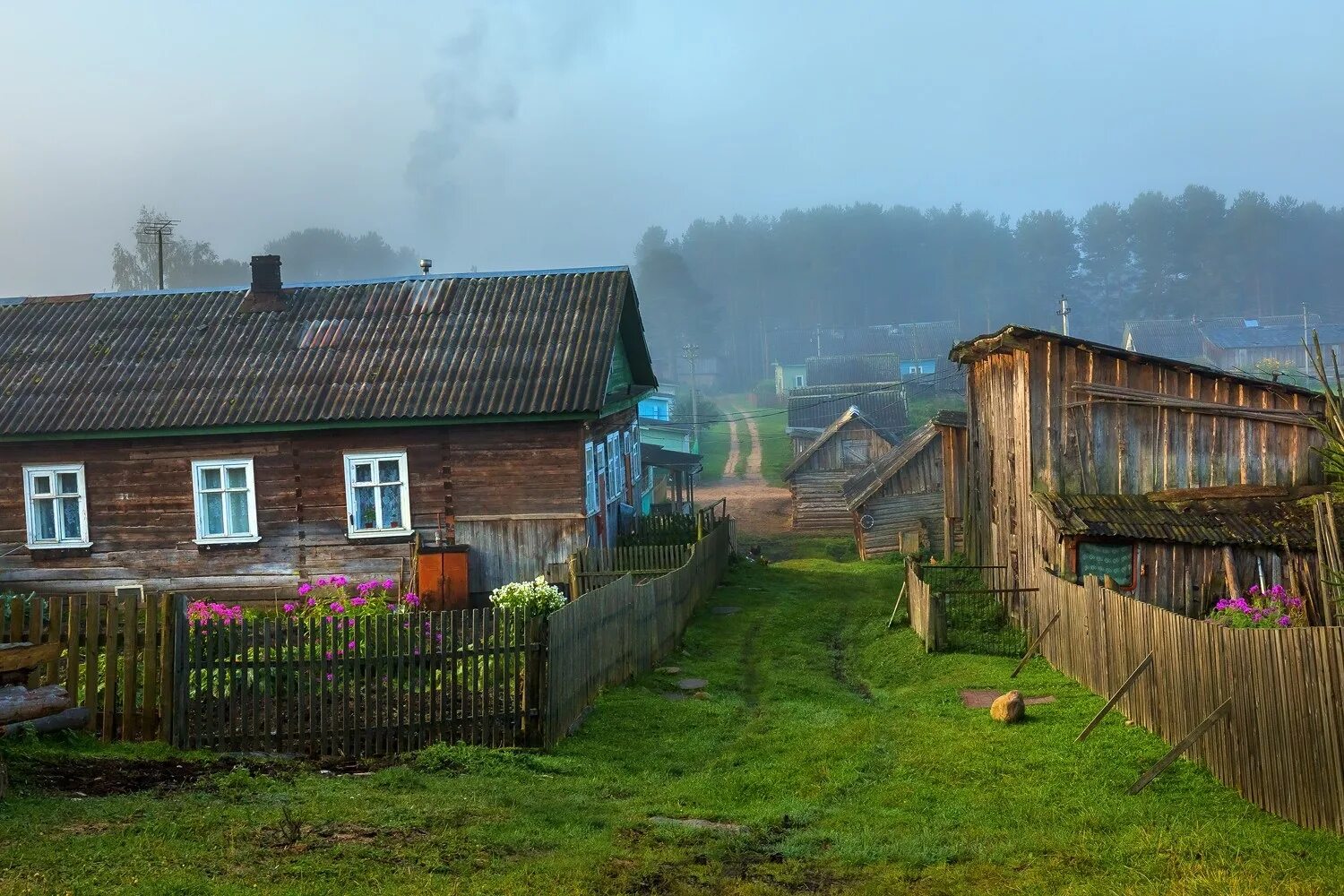 Деревни ленинградской области. Вепсский лес деревня Ярославичи. Вепсский лес Тихвинский район. Вепсская деревня Ленинградская область. Вепсский лес в Ленинградской области Лукино.