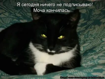 Ну ничего не происходит