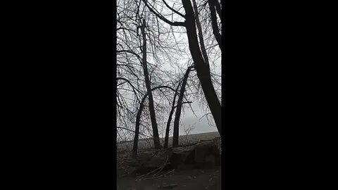 Песня да я убитый