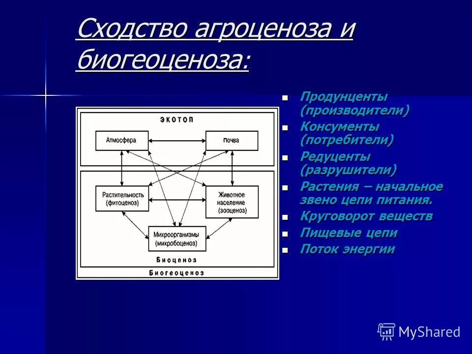 Цепь питания агроценоза. Число звеньев в пищевой цепи биогеоценоза. Круговорот веществ в агроценозе.