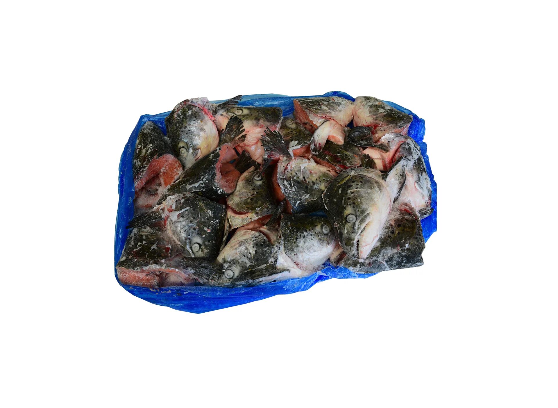 Замороженные головы