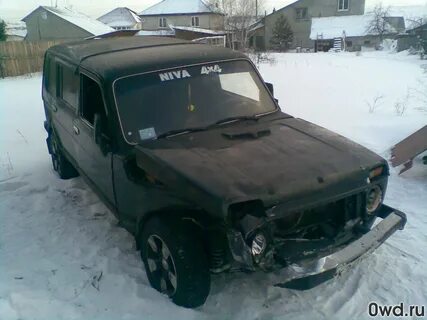 Бу битые нива