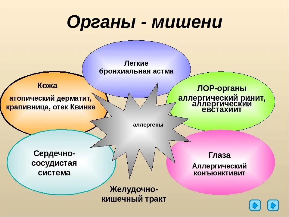 5 органы мишени. Презентация по аллергии. Органы мишени аллергии. Органы мишени при пищевой аллергии.