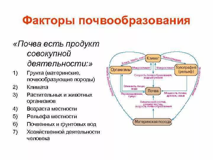 Почвообразовательный процесс. Эволюция почв - презентация онлайн