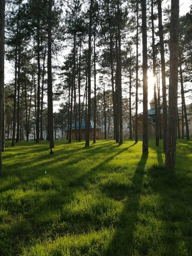 микрорайон лесной. памятник природы сосновый бор лесосибирск. леса мкр. микрорайон лесной тюмень фото. микрорайон лесной.