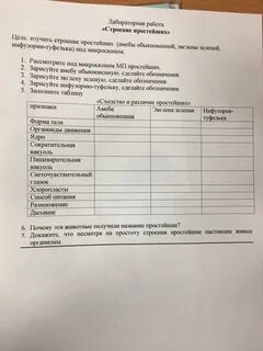 Сходство и различие простейших таблица 7 класс