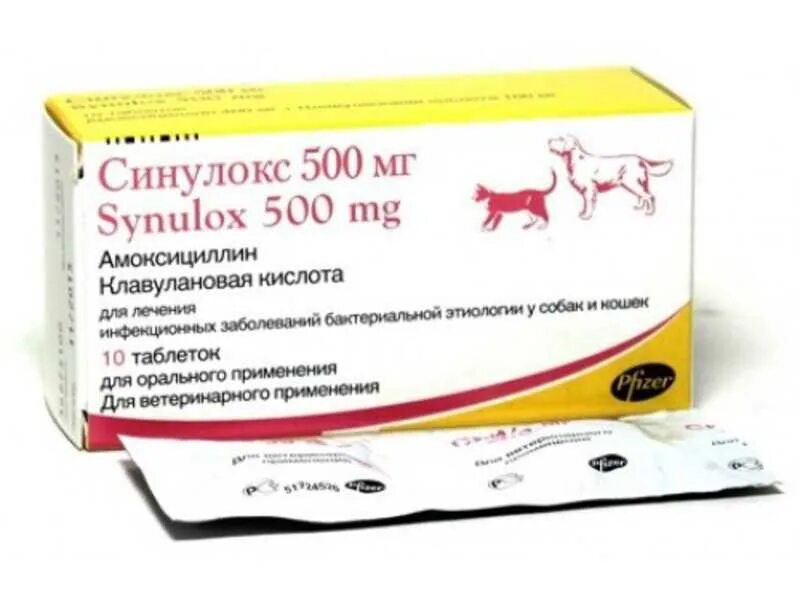 Можно ли давать антибиотик собаке. Синулокс 500 мг, таблетки, №10. Синулокс для кошек 500. Антибиотик ветеринарный синулокс 500. Антибиотик для собак синулокс 500.