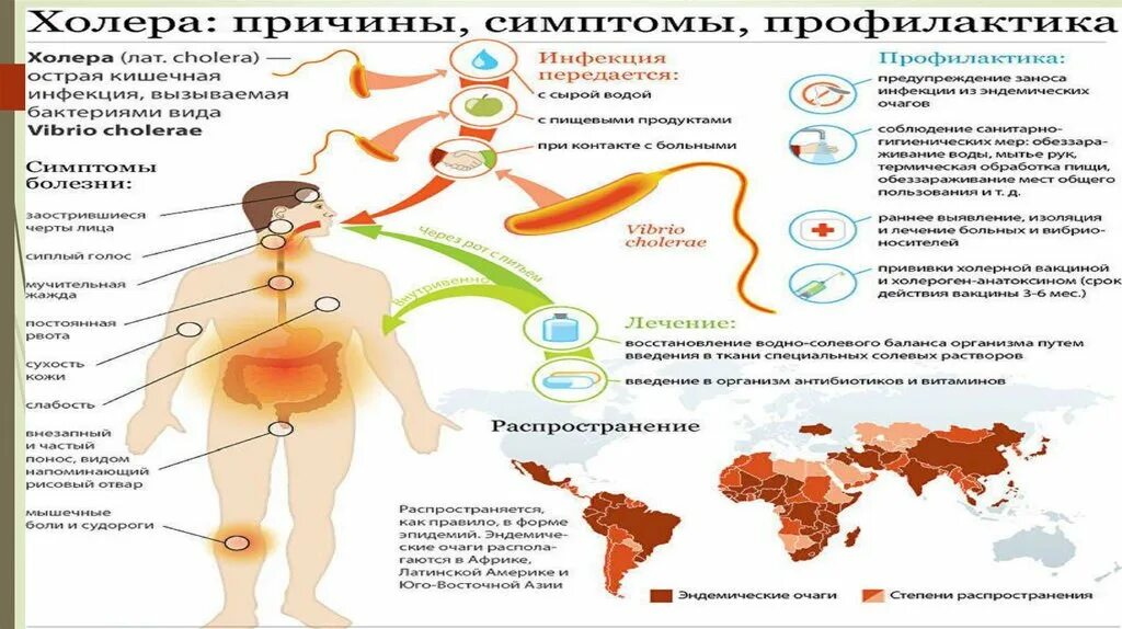 Что за болезнь холера. Механизм развития холеры. Холера профилактика заболевания. Холерный вибрион механизм передачи.