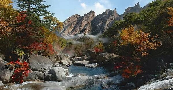 Environment of North Korea Wikipedia